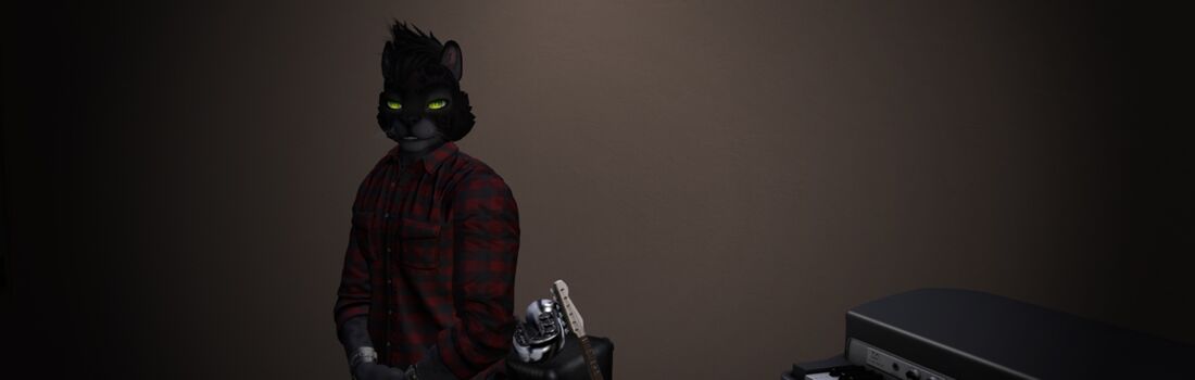 Photo of Shoroo at home