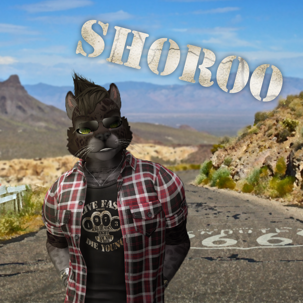 Profile picture Shoroo 2021